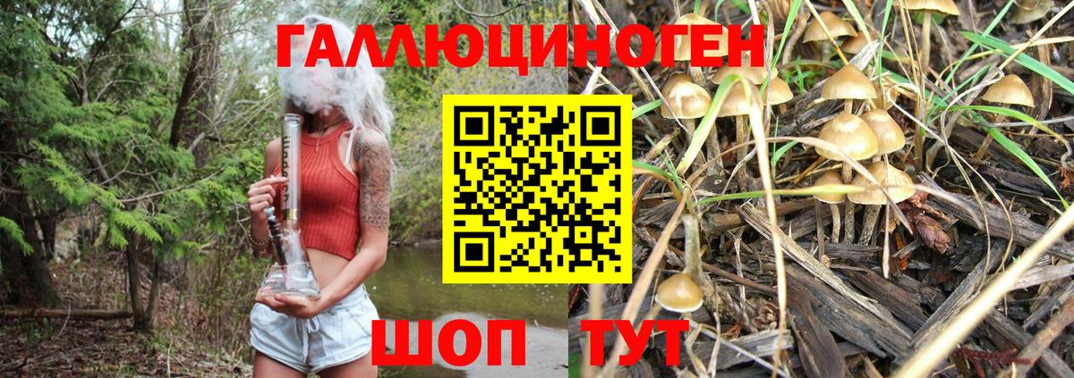 Псилоцибиновые грибы Psilocybine cubensis  купить закладку  Алексеевка  Вход с VPN  Галлюциногенные грибы Cubensis 