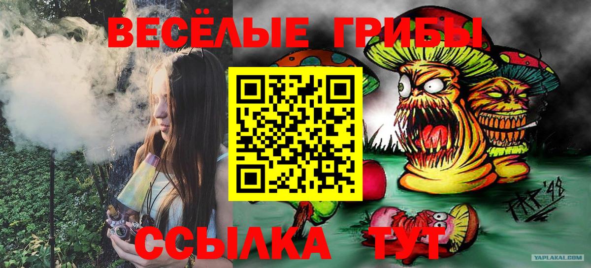 Галлюциногенные грибы мицелий Алексеевка